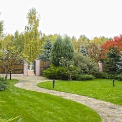 Красивый участок на даче фото